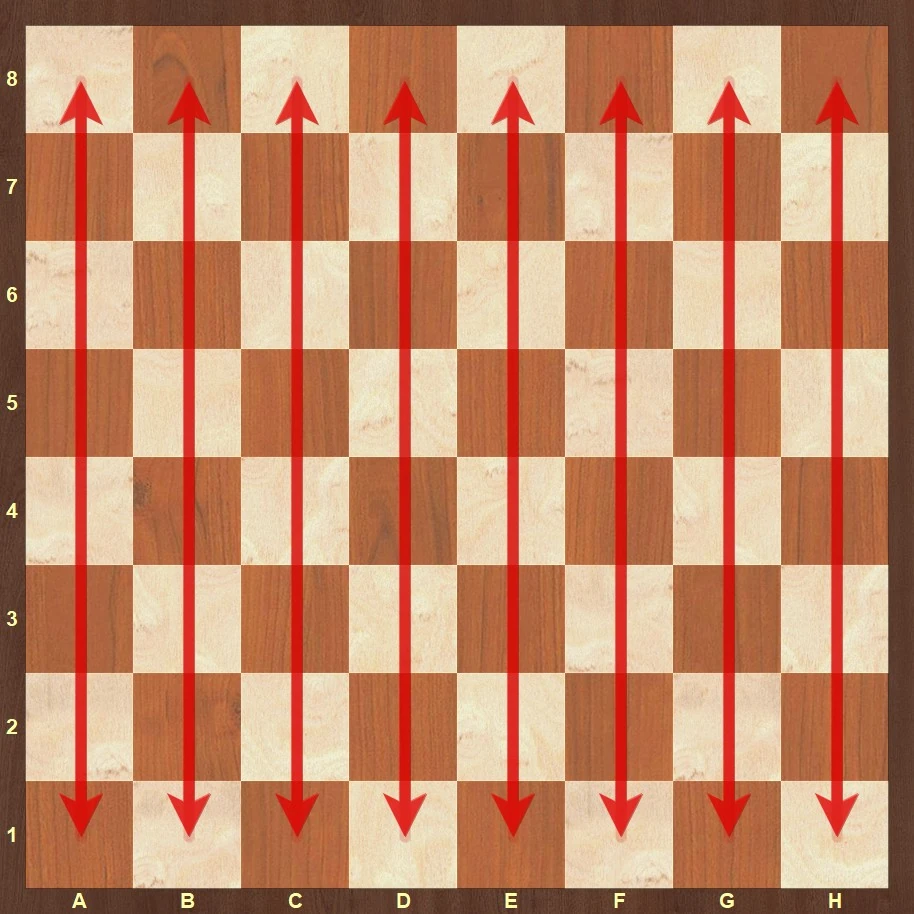 Files on the chessboard